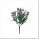 PIQUET EUCALYPTUSBAIE