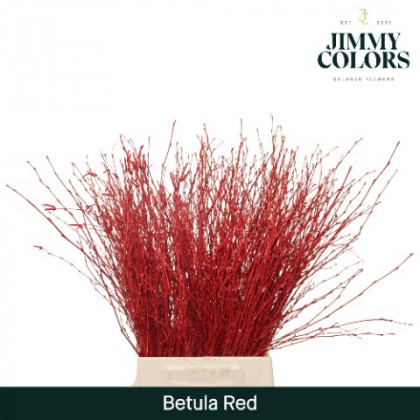 BETULA VRF 60CM X10T ROJO.