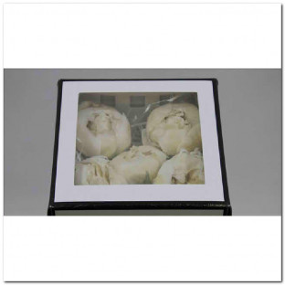 PAEONIA PRESERVADA WHITE X 4UNI (BLANCO).