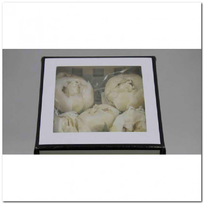 PAEONIA PRESERVADA WHITE X 4UNI (BLANCO).