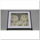 PAEONIA PRESERVADA WHITE X 4UNI (BLANCO).