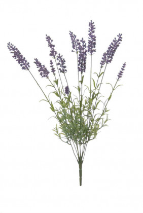LAVENDEL BUSH 42CM
