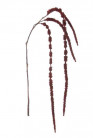 AMARANTHUS 118CM.