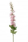 DELPHINIUM 75CM ROZE