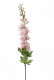 DELPHINIUM 75CM ROZE