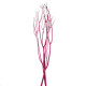 MITSUMATA 120CM FUCSIA