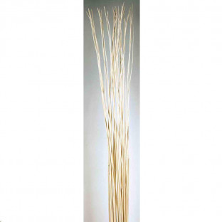 MIMBRE 180CM BLANCO