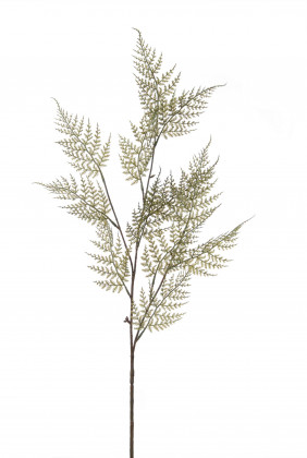 BRANCHE DE FORGÈRE 91CM.