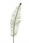COIL LEAF 97CM