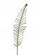 COIL LEAF 97CM