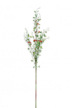 BRANCHE BAUHINIA