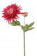 CHRYSANTHEME 36 CM CERISE