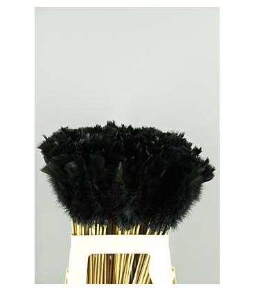 PICK PLUMAS BLACK 50CM X 10 TLLS