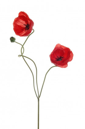 PAVOT 74 CM ROUGE