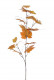 FEUILLES DE VIGNES 95CM ORANGE