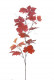 FEUILLES DE VIGNES 95CM ROUGE FONCÉ