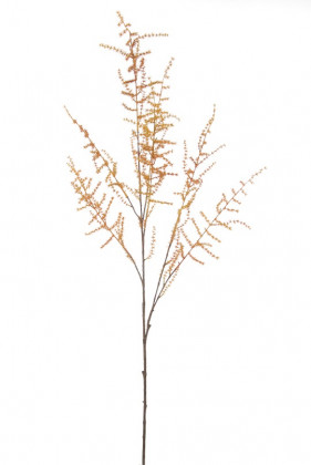 ASPARAGUS SAUVAGE 127CM ORANGE
