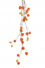 PHYSALIS GUIRNALDE 120 CM ORANGE HEADER
