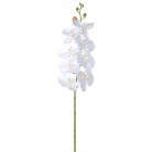PHALAENOPSIS 90CM BLANCO