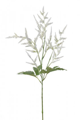 ASTILBE 60CM CRÈME