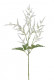 ASTILBE 60CM CRÈME