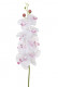 PHALAENOPSIS 95CM BL/LILA