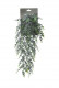 EUCALIPTUS POUDRE CHUTE 54CM VERT
