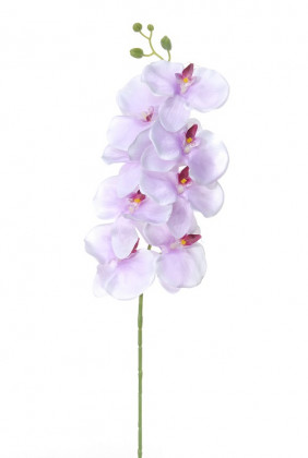 PHALAENOPSIS 100CM MAUVE