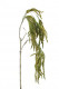 AMARANTHUS 45CM VERD