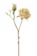 ROSE 38CM JAUNE