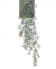 LANTANA CHUTE 70CM MAUVE HEADER