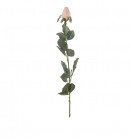 BOUTON DE ROSE