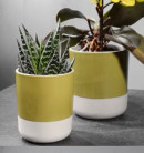 CERÁMICA ENNA VERDE/BLANCO Ø14H15