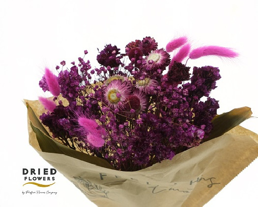 BOUQUET DRY FUCSIA 50CM