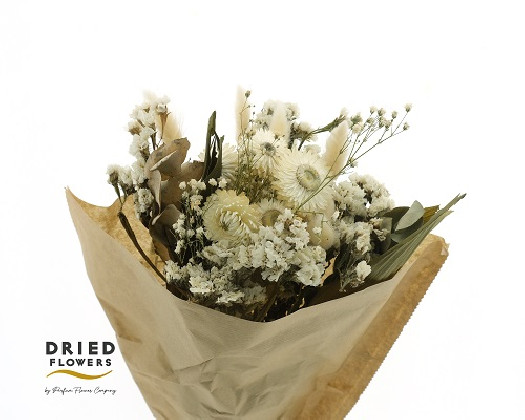 BOUQUET DRY BLANCO 50CM