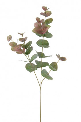 EUCALIPTUS 75CM VERDE/ROJO