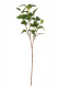LAUREL 60CM VERDE.