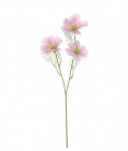 COSMOS 65CM BLANCO