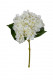 HORTENSIA 44CM BLANCO