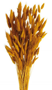 LAGURUS 60CM OCRE