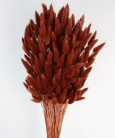 LAGURUS 60CM BURGUNDY
