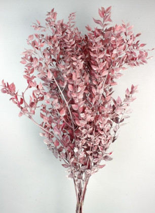 RUSCUS PRES. ROJO/PLATA