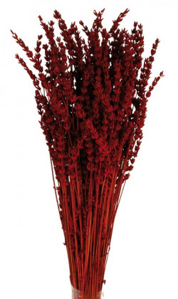 LAVANDA ROJA PRES 150 G.