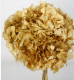 HYDRANGEA PRESERVADA NATURAL