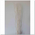SALIX 120CM BLANCO.