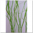 SALIX 120CM VERDE.