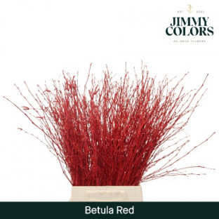 BETULA VRF 70CM X10T ROJO.