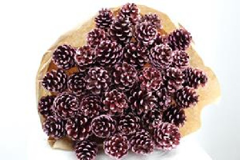 BOUQUET DRY PIÑAS ROJO 60CM