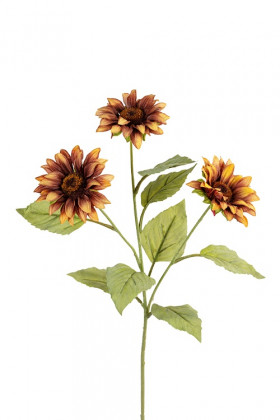 TOURNESOL X3 80CM MARRON