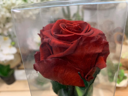 ROSA PRESERVADA TERRACOTA 55CM.